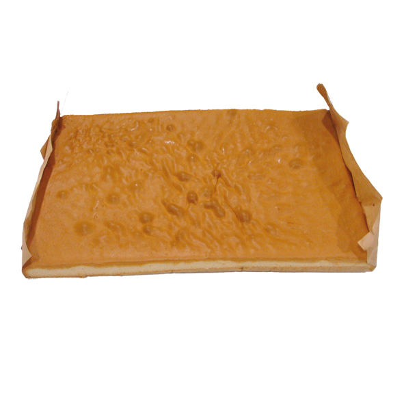 LFG.PLANXA BISCUIT 60x40 340g 8u