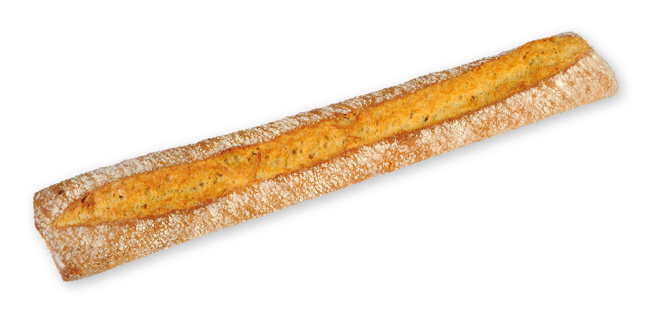 LFGN.XAPATA BARRA 22u