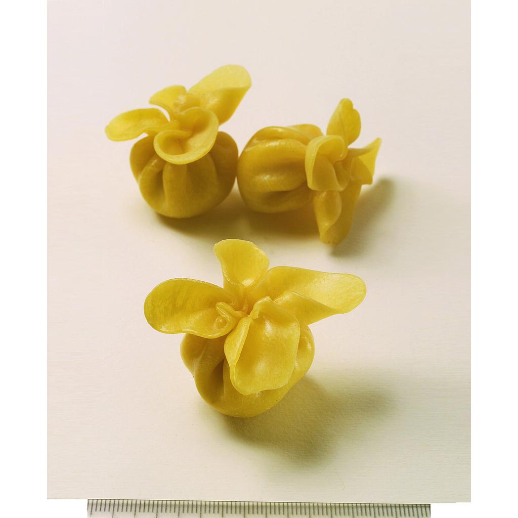 BIP.FAGOTTI FORM/PERE(3 x 1kg)(JP9026)