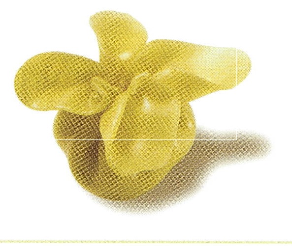 BI.FAGOTTI TARTUF.NERO (3 bosses 1 kg)__