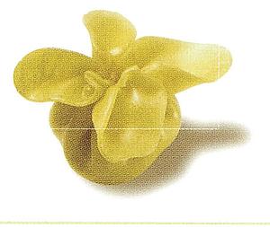 BI.FAGOTTI TARTUF.NERO (3 bosses 1 kg)__