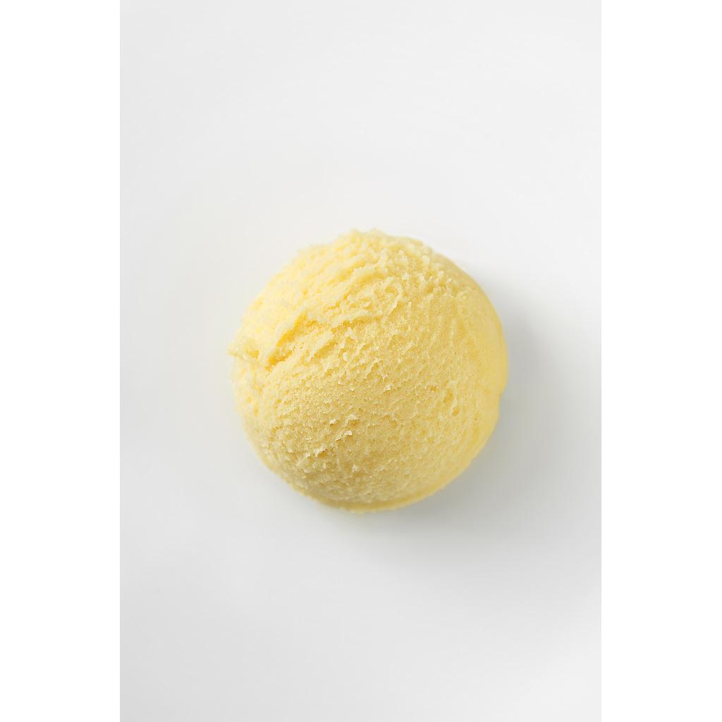 BI.GRAN GEL. SORBETE MANGO 2,5lt