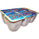 VASOS gelat VAINILLA/XOCOLATA 54x125ml ALE HOP SG