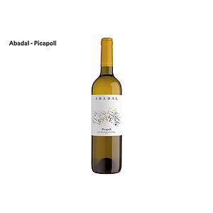 ABADAL PICAPOLL 2023 (6) SG