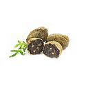 CROQUETES  XIPIRO TINTA 4x500g
