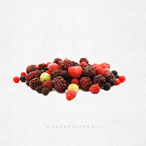 MIX FRUITES DEL BOSC 1kg (5) SG