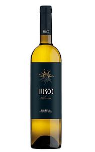 ALBARIÑO PAZOS DE LUSCO 2022 (6)
