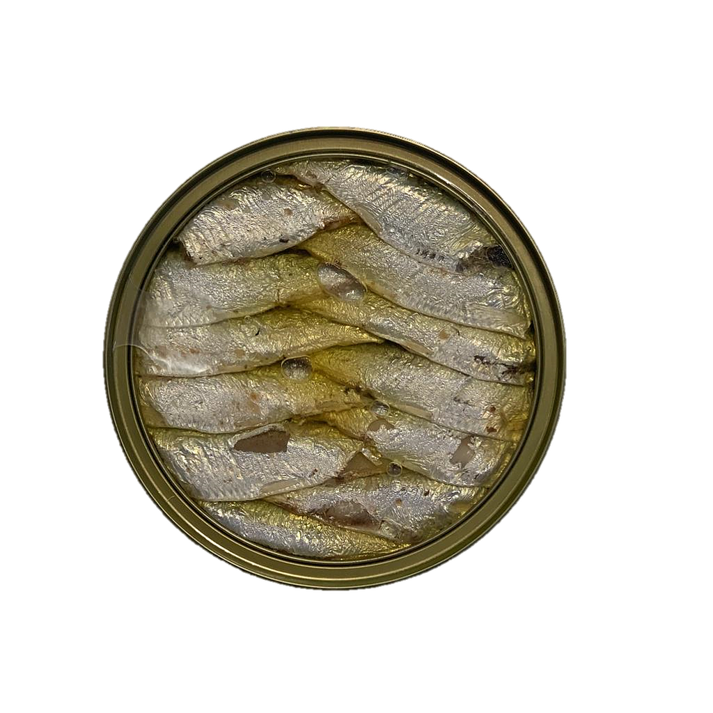 SARDINETES Ro120 16/20 BAYMAR oli oliva (18) SG