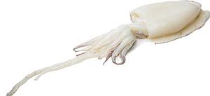 SIPIA NETA 8/12 6x1Kg IF 