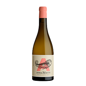 ANXO MARTIN RIBEIRO 2021(6) 