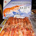 GAMBA ARGENTINA N1 (10/20) 2Kg (6)__