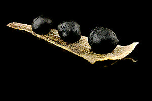 BUNYOL NEGRE BACALLA AMB ALLIOLI 15g 2x50u SG