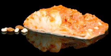 BACALLA AMB TOMAQUET PINYONS I PANSES 250g 8u SG__