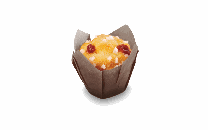 RA.MINI TULIPA FRAMBUESA 46u__