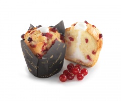 RA.TULIPA IOGURT/CRANBER.20u